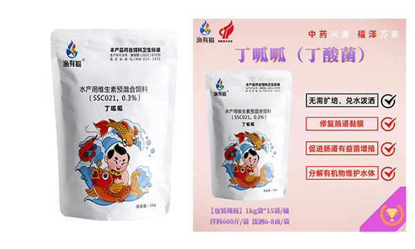 丁酸梭菌与乳酸菌的区别有哪些？