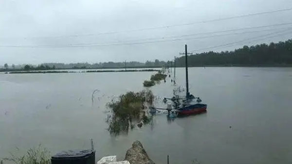 【养殖】阴雨天，水产养殖怎么防控？做好这几点就能减少损害