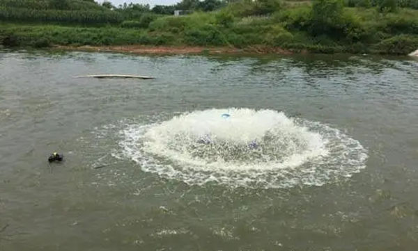 白露节气，如何预防鱼浮头泛塘？