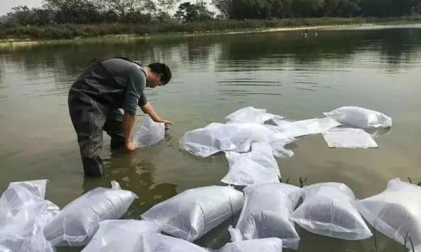 春季放苗时，水深好还是水浅好？